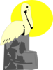 Pelican On Rock Clip Art